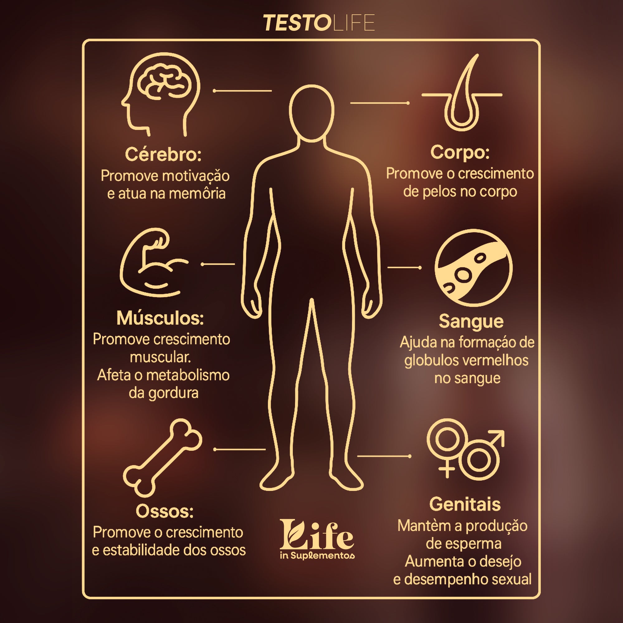 Testo Life - 60 Capsulas - Suplemento Alimentar para Foco, Energia e Bem-Estar